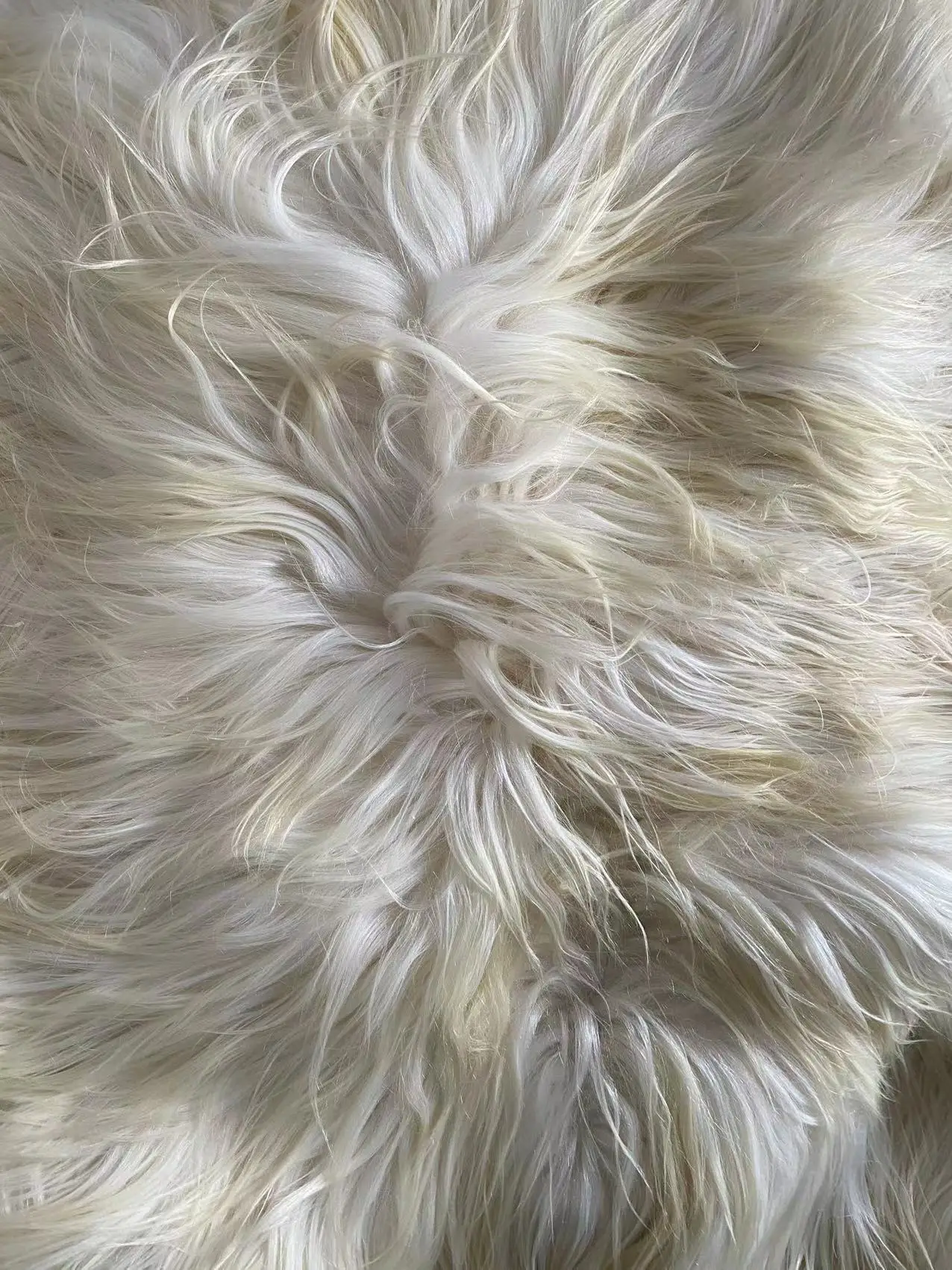 Slide image 8e4c2016e10e41a7bd72fa244b60e710