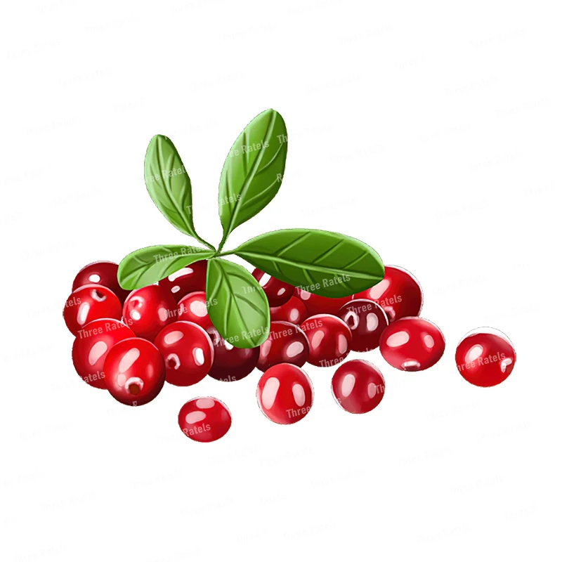 

Three Ratels CO26 Waterproof self pasting Fresh red cherry Fruit Cartoon Wall Sticker for home DecorationToilet Decals