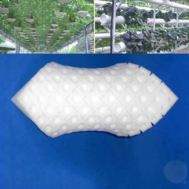 100Pcs/sheet Hydroponic plant Sponge Garden Cultivation Seedling Soilless Culture Planting tools Vegetables Nursery Pots trays 4