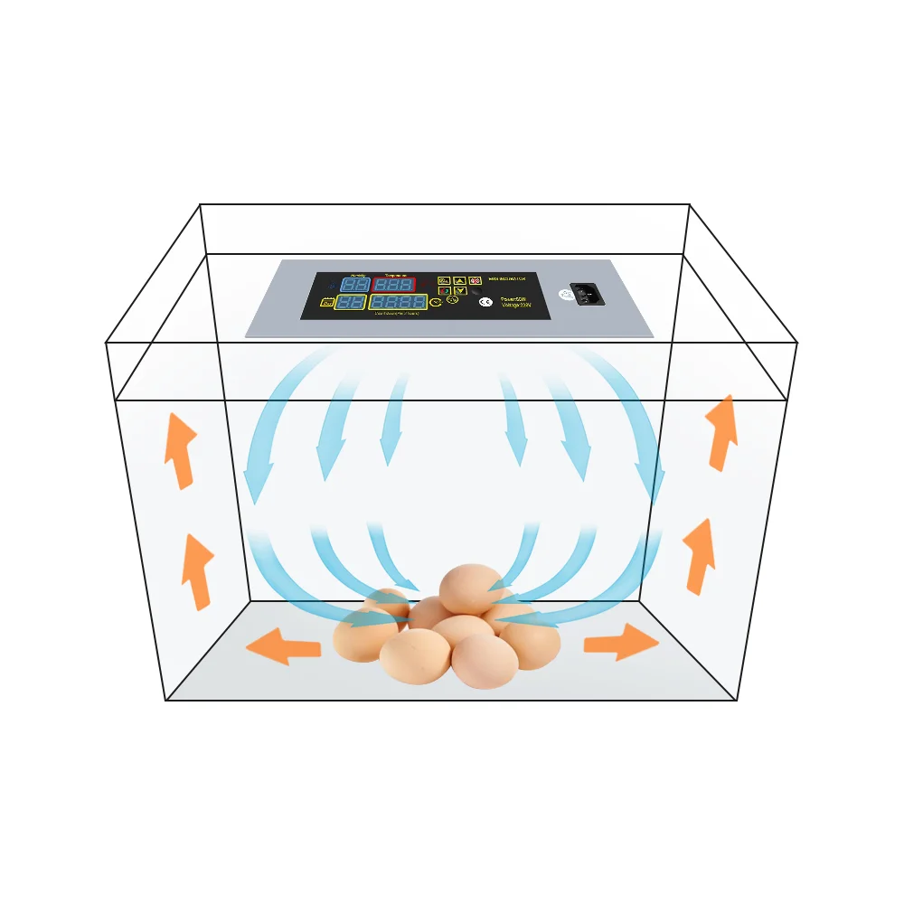 

Factory Best Price Controller For Mini Automatic Chicken Egg Incubator