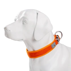 TRUELOVE Adjustable Padded Dog Collar - Comfort, Ventilation & Pull-Resistant Design with Personalized Printing - XXXL (Orange)