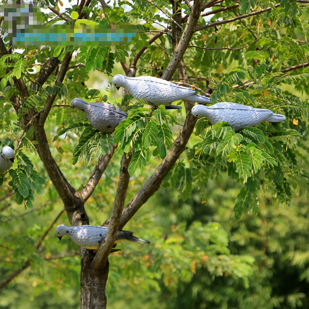 Description Picture 4 of itemLifelike Pigeon Practice Bow，Target Bait for Hunting Training, 3D, EVA, Animal Decoy, Practice, Outdoor Shooting