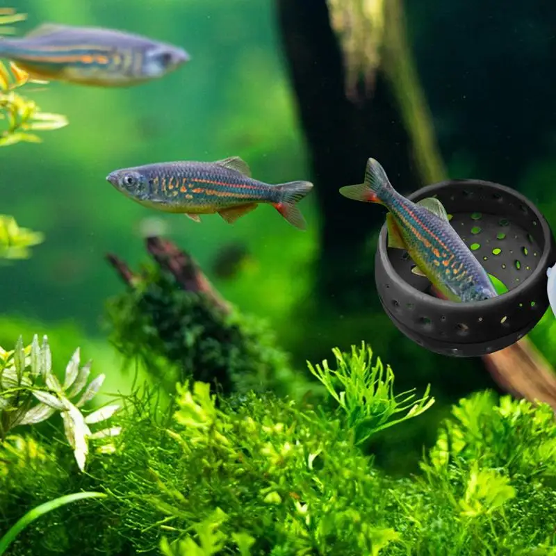 Betta Tunnel Aquarium Cave With Safe Hollow Design Red Shrimp Live Plants Fish Tank Holder Hammock Planter Small Fish And Shrimp