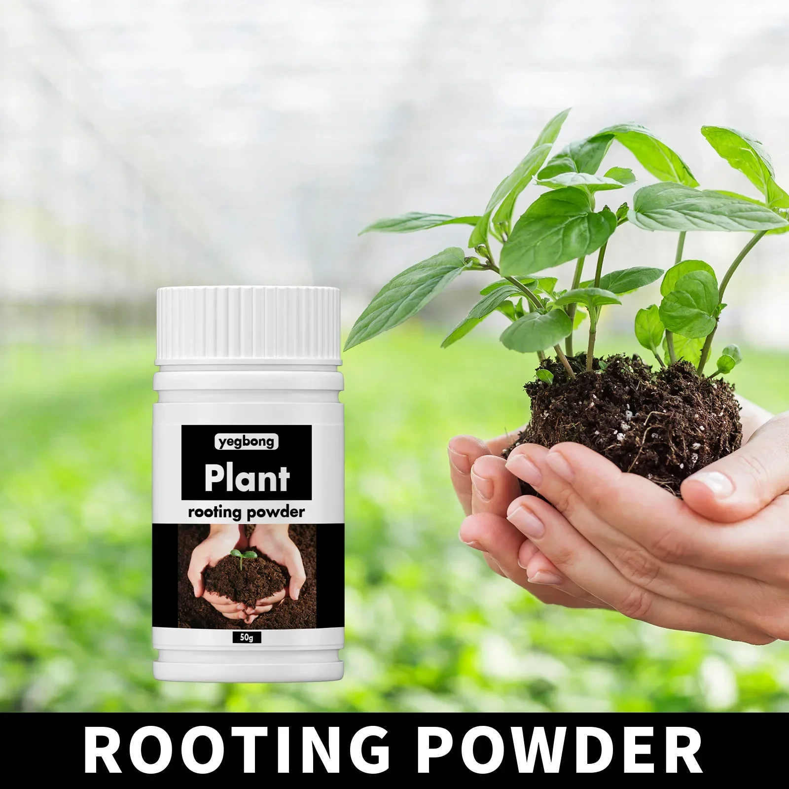 Rare Plant Rooting Powder for Fruit, Flower, Hydroponics
