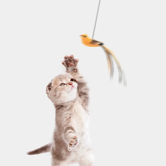 Automatic Lifting Motion Cat Toy Artificial Bird Interactive Puzzle Pet Chew Toy