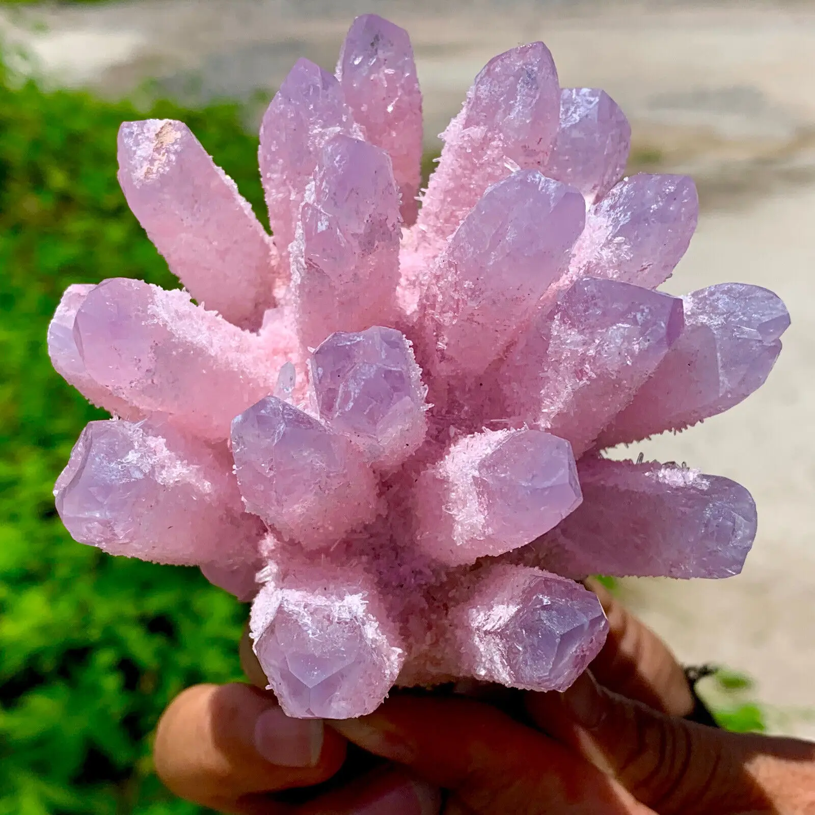 Natural Purple Pink Cluster Flower Energy Gem Reiki Healing Room Office Decoration Gift 3