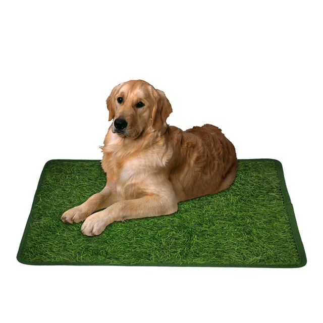 Alfombrilla de hierba profesional para entrenamiento de mascotas, orinal  portátil para perros y gatos, bandeja para orinar, inodoro para casa -  AliExpress
