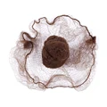 Brown 20pcs