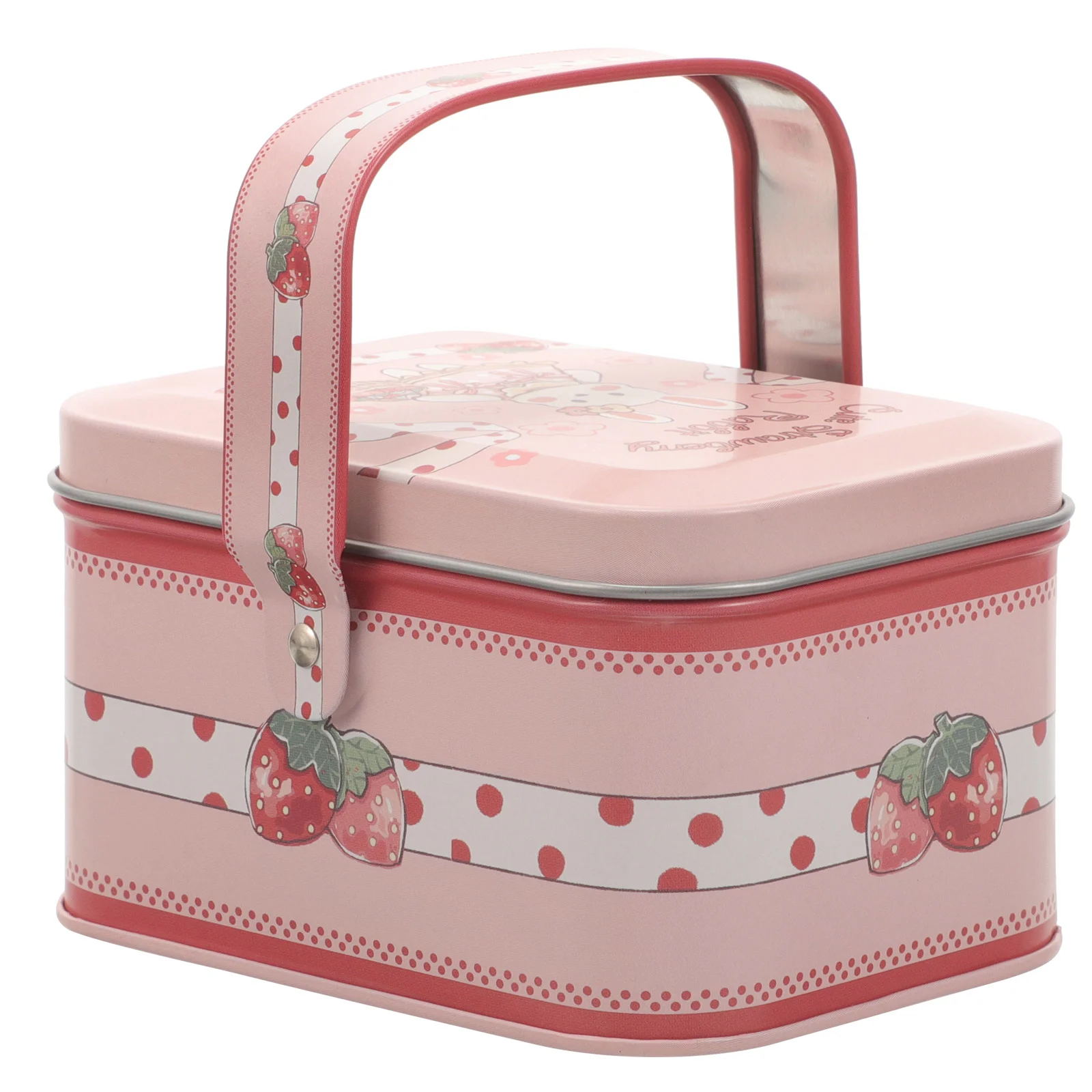 

Small Tin Case Empty Tin Box Portable Tinplate Box Container Home Organizer