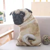 Photo customization DIY cat cushion dog pet pillow animal cat sofa car decoration outdoor Valentine's Day cushion comfortable 5