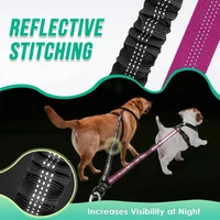 1.6ft Long Dual Dog Leash Attachment - Double Leashes for Training Small to Large Dogs - Adjustable Strap Shock Absorbing Bungee 4