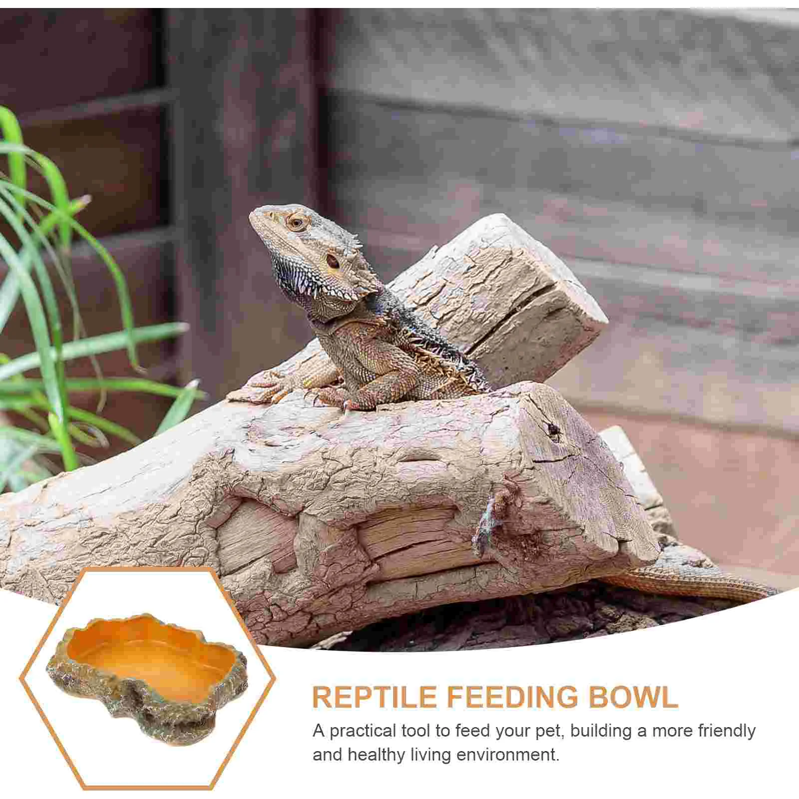 

Climbing Pet Food Bowl Glass Container Snake Water Dish Reptile Supplies Artificial Resin Tortoise Feeding Basin