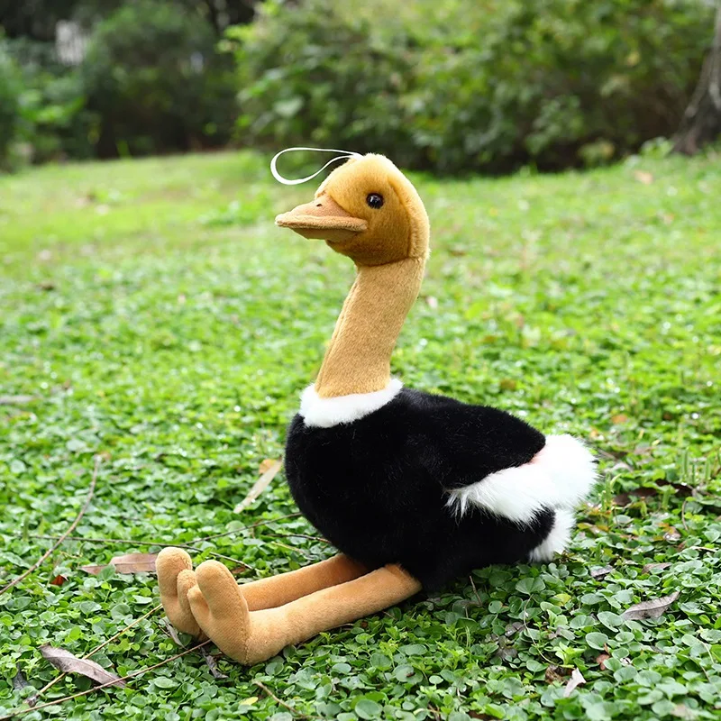 

1pc 40/50cm Simulation Ostrich Plush Toy Stuffed Lifelike Animal Doll Soft Bird Pillow Cute Gift for Kids Girl