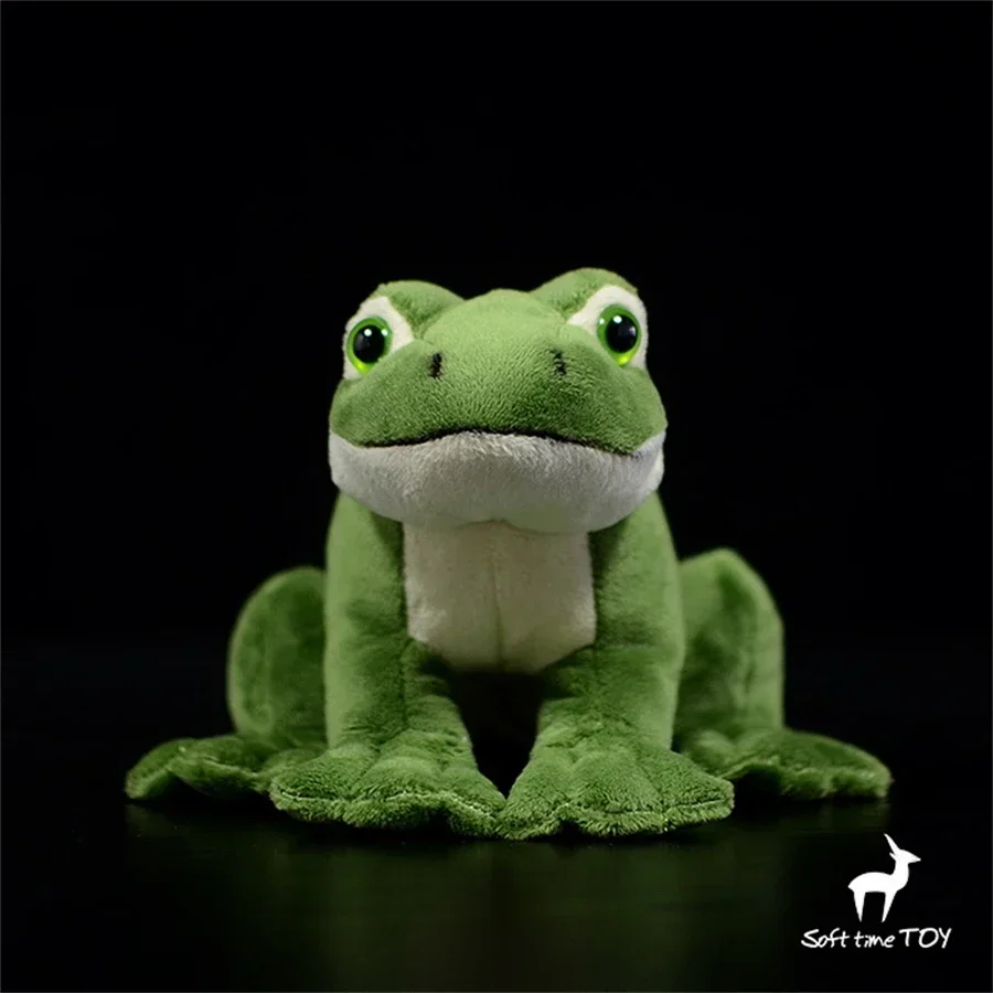 Frog Plush Toy High Fidelity Green Frog Plushie Arrow Tree Frog Peluche Lifelike Stuffed Animals Simulation Doll Kawai Toy Gifts 6