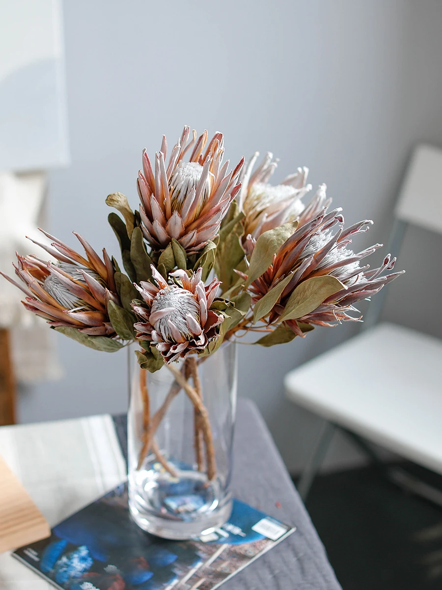 South African Emperor Flower Dried Flower For Decor Highend Nordic Ins