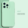 Mint TSY