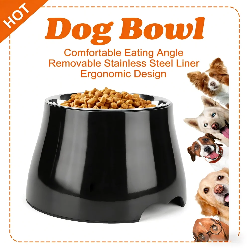 Elevated Stainless Steel Dog Bowl with Removable Liner