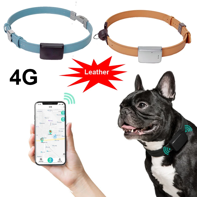 암호 잠금 기능이 있는 4G 와이파이 AGPS LBS AI 가죽 GPS 트래커 애완견 고양이 추적 칼라 로케이터 포지셔닝, 2 웨이 토크 분실 방지