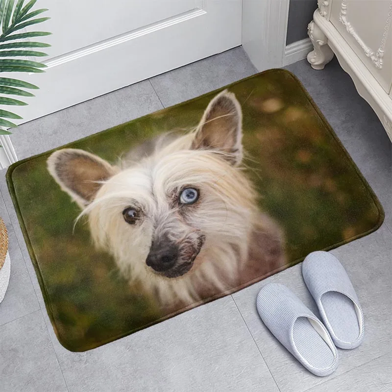 https://ae01.alicdn.com/kf/S9a1deb3145594ba88df28eb2b78ca767d/Chinese-Crested-Dog-Doormat-Floor-Bath-Kitchen-Beach-Mat-Flannel-Sponge-Fabric-3D-Printed-Shaggy-Custom.jpg