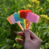 50-100pcs Garden Plant Labels Markers Reusable Nursery Hang Tag Plastic Identification Card Waterproof Ring Sign Vegetables Tool 3