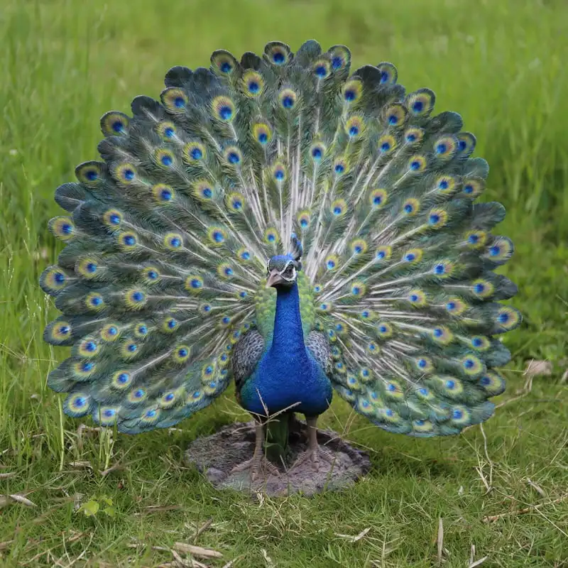 

Animals Peacock Sculpture, Green