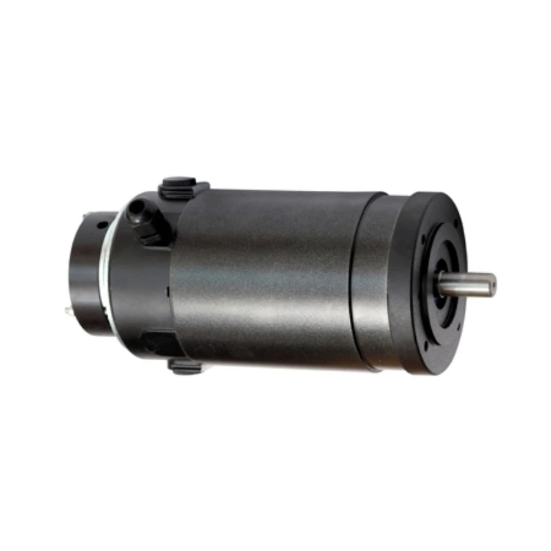 

FOR High margin products grinding motor 24 volt brushed dc gear motor for fan use
