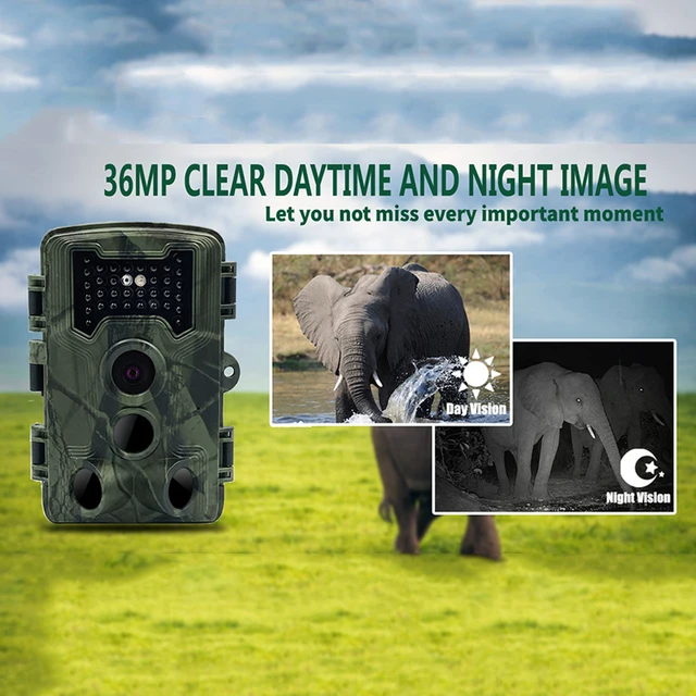 36MP 1080P Hunting Camera Waterproof Night Vision Infrared Wildlife Detector Tracking Surveillance Outdoor Trail Camera 3