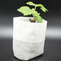 25 - 100PC Biodegradable Seedling Bags Non - Woven Breathable Grow Bags for Vegetable Flower Garden Nursery Hot Sale 3