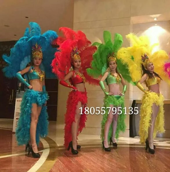 Feather Stage Wear Brazilian Samba Paradise Carnival Feather Costumes Sexy  Women Opening Show Performance Role Dancing Costume - Belly Dancing -  AliExpress