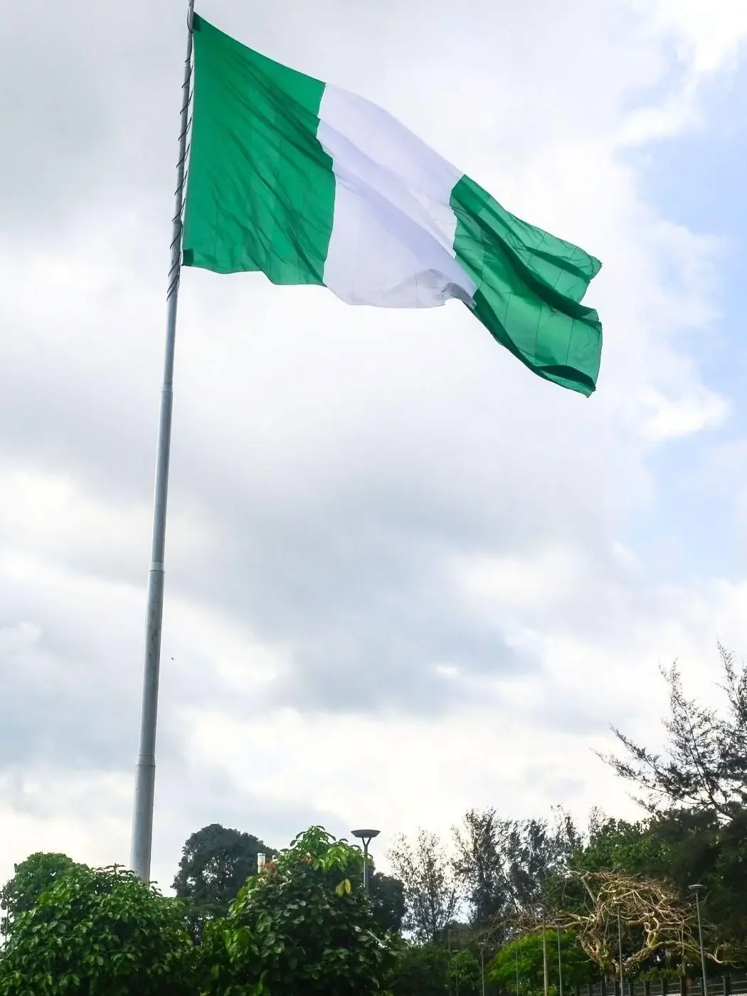 Jimonflag Nigeria Bandiera Nazionale 90X150Cm Poliestere Doppio Lato Stampato Verde Bianco/Decor