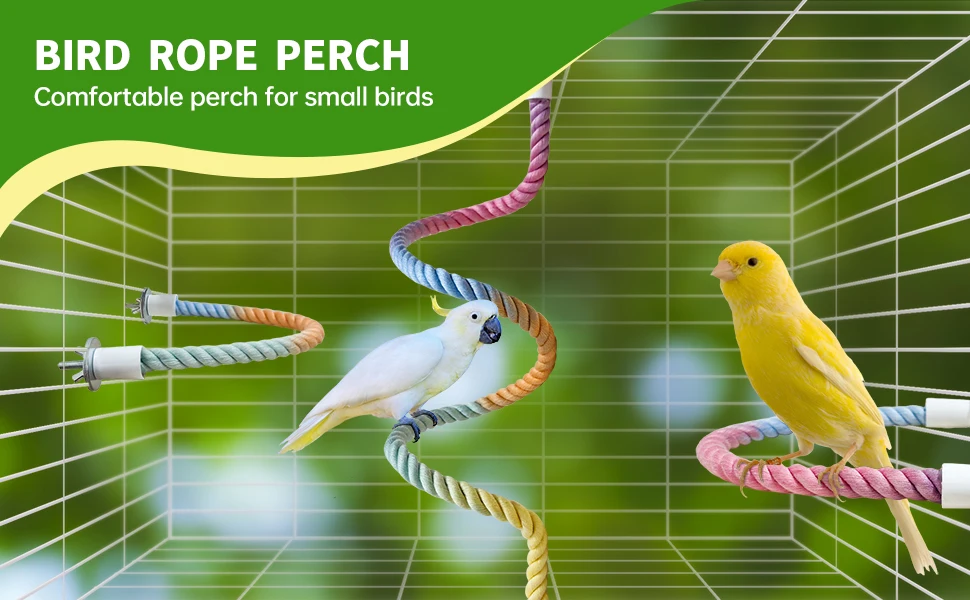 Comfortable perch for small birds