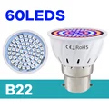 B22-60Leds