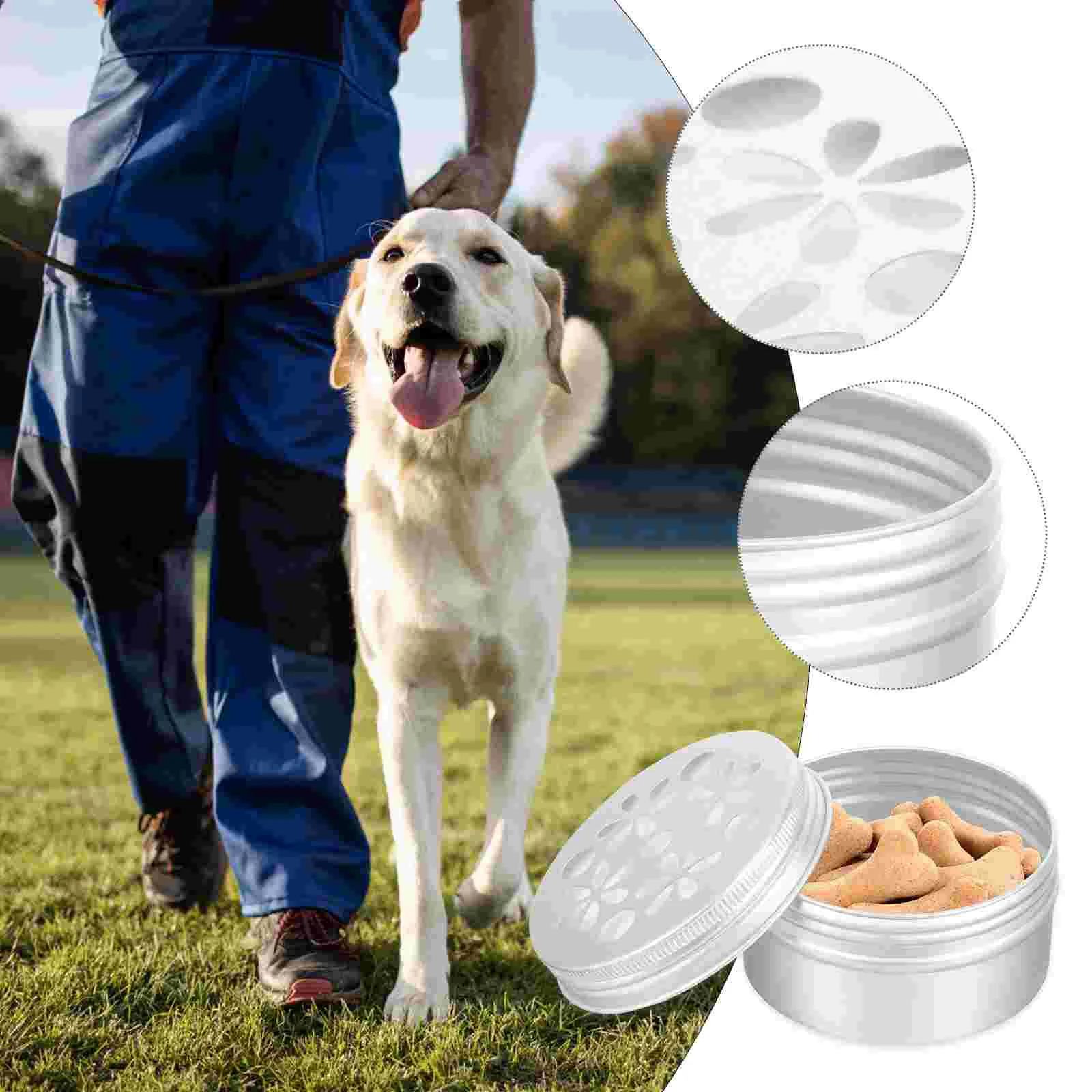

10 Pcs Bead Kit Dog Training Tools Aroma Holder Metal Tins with Lids Supplies for Container Small Equipment Work