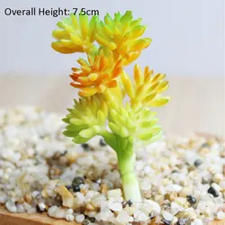 Miniature Artificial Lotus Succulent Garden Decor Ensemble (Chun BoXueCao)