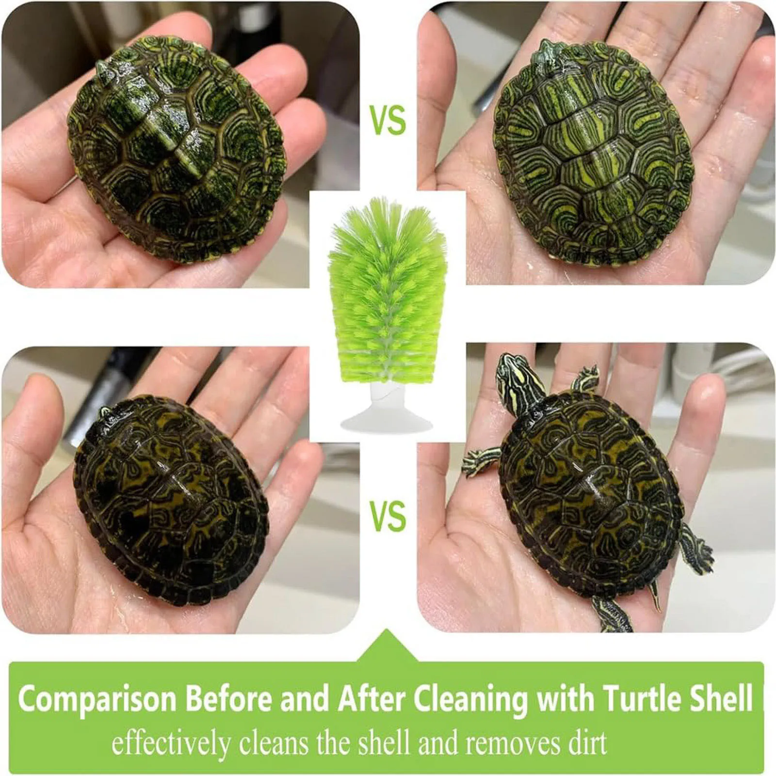 Turtle Brush With Suction Cup for Tank Scratches Back Brush Cleaning Scrub Red Eared Slider Turtle And Dustpan