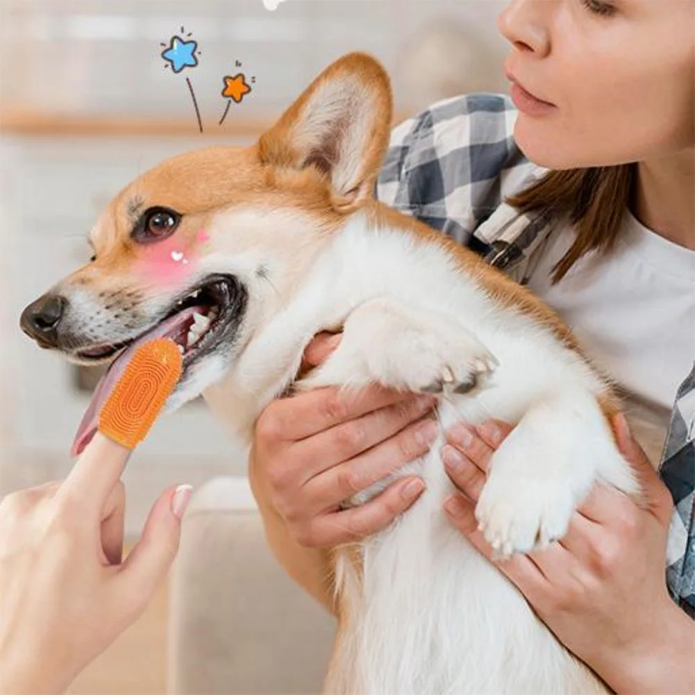 6Pcs Teeth Cleaning Tool with Storage Box Silicone Tooth Brush Dental Care Brush for Cleaning Pet Bad Breath Accessories