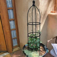 Black Garden Trellis, Plant Climbing Support Frame, Durable Plastic, Potted Plants, Indoor/Outdoor Climbing Plant Support 5