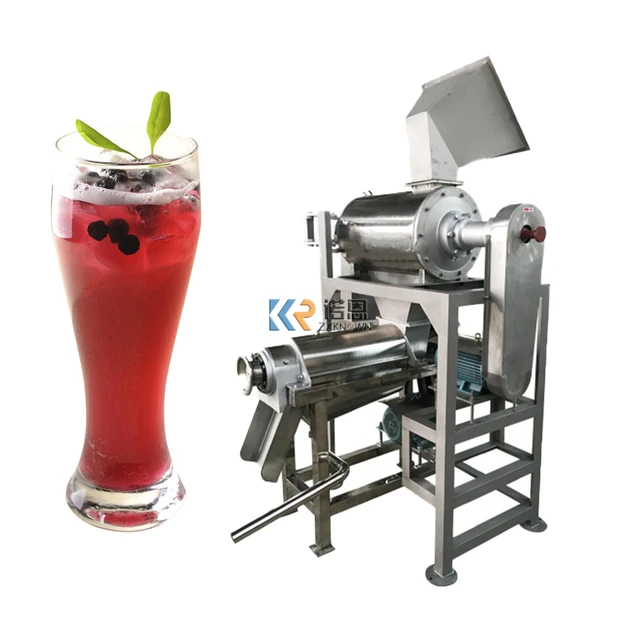 Machine commerciale d'extraction de graines de baies, extracteur