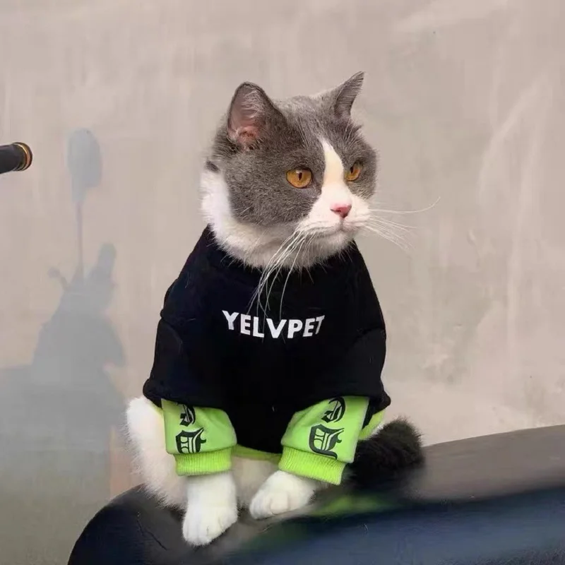 Spring Pet Clothes - PeticaDeals