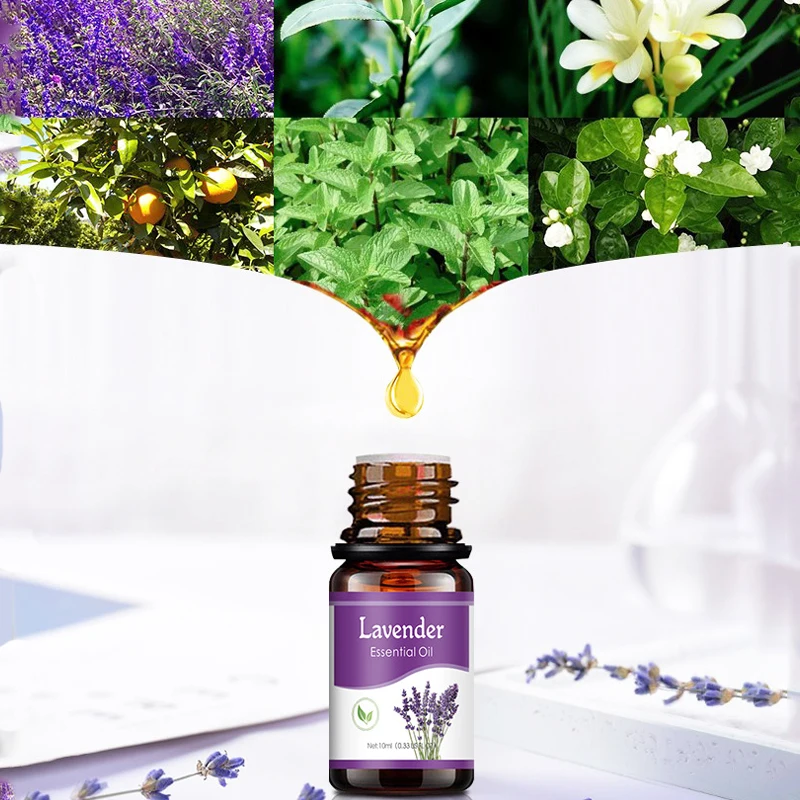 18 Flavors Essential Oils for Aroma Diffuser Air Humidifier Home Water-soluble Air Freshener Scents Fragrance Car Perfume Refill - Image 5