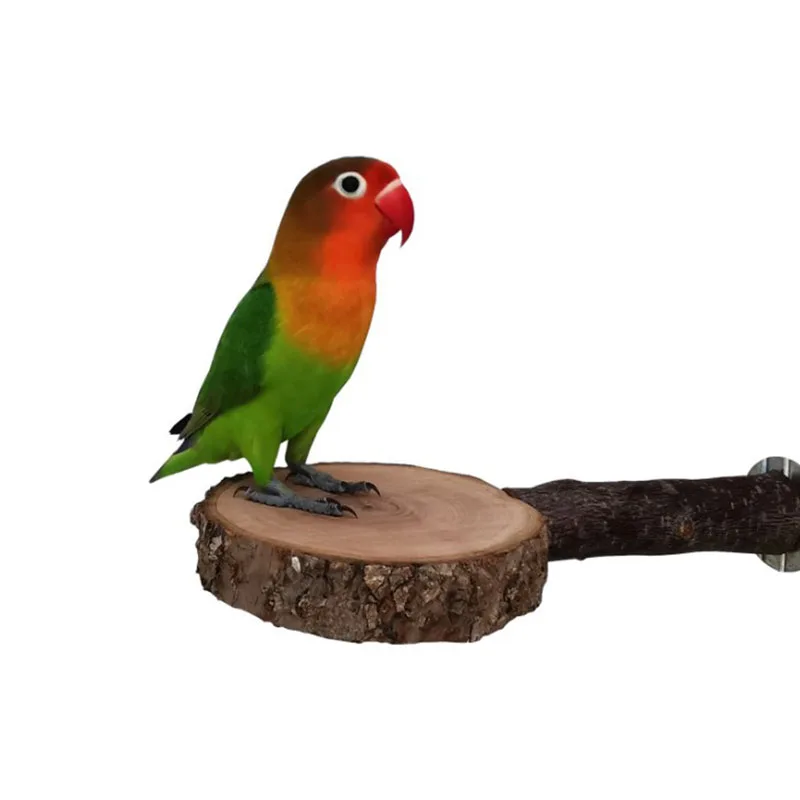 Natural Wood Pet Parrot Raw Wood Fork Tree Branch Stand Rack Squirrel Bird Hamster Branch Perches Chew Bite Toys Stick Hot Sale images - 6