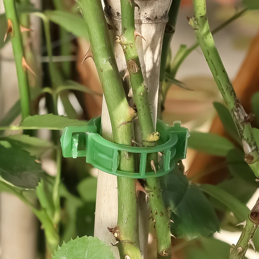 Plant Clips Supports Reusable Plastic Connects Fixing Vine Tomato Stem Grafting Vegetable Plants Orchard and Home Garden Tools