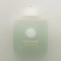Amouage Guidance46 100ml Eau de Parfum pour Femme, Parfum Féminin Élégant Longue Durée, Senteur Fraîche et Chaude Unique, Six Variantes, Gold Existence 4