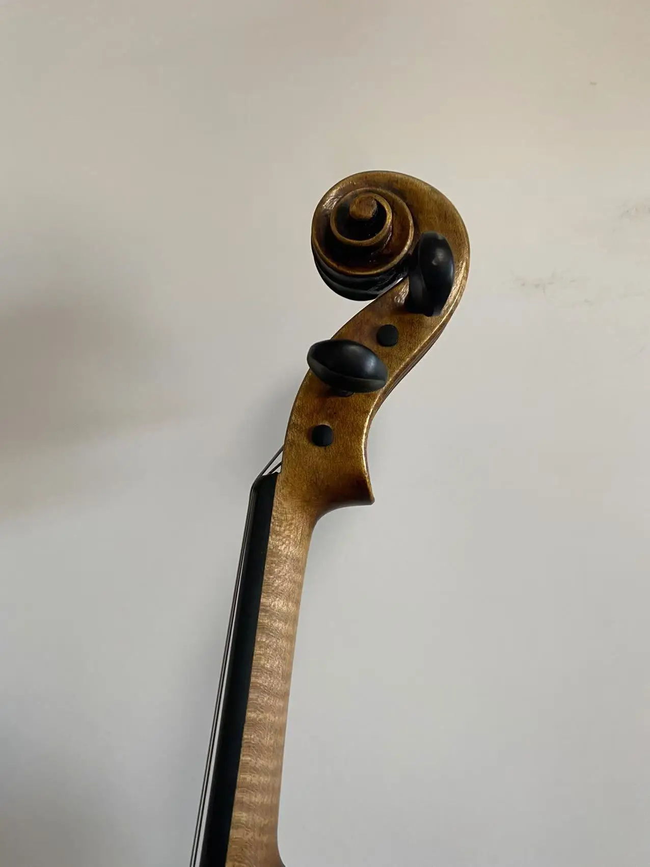 Master 4/4 violin Guarneri model 1742 European one piece back