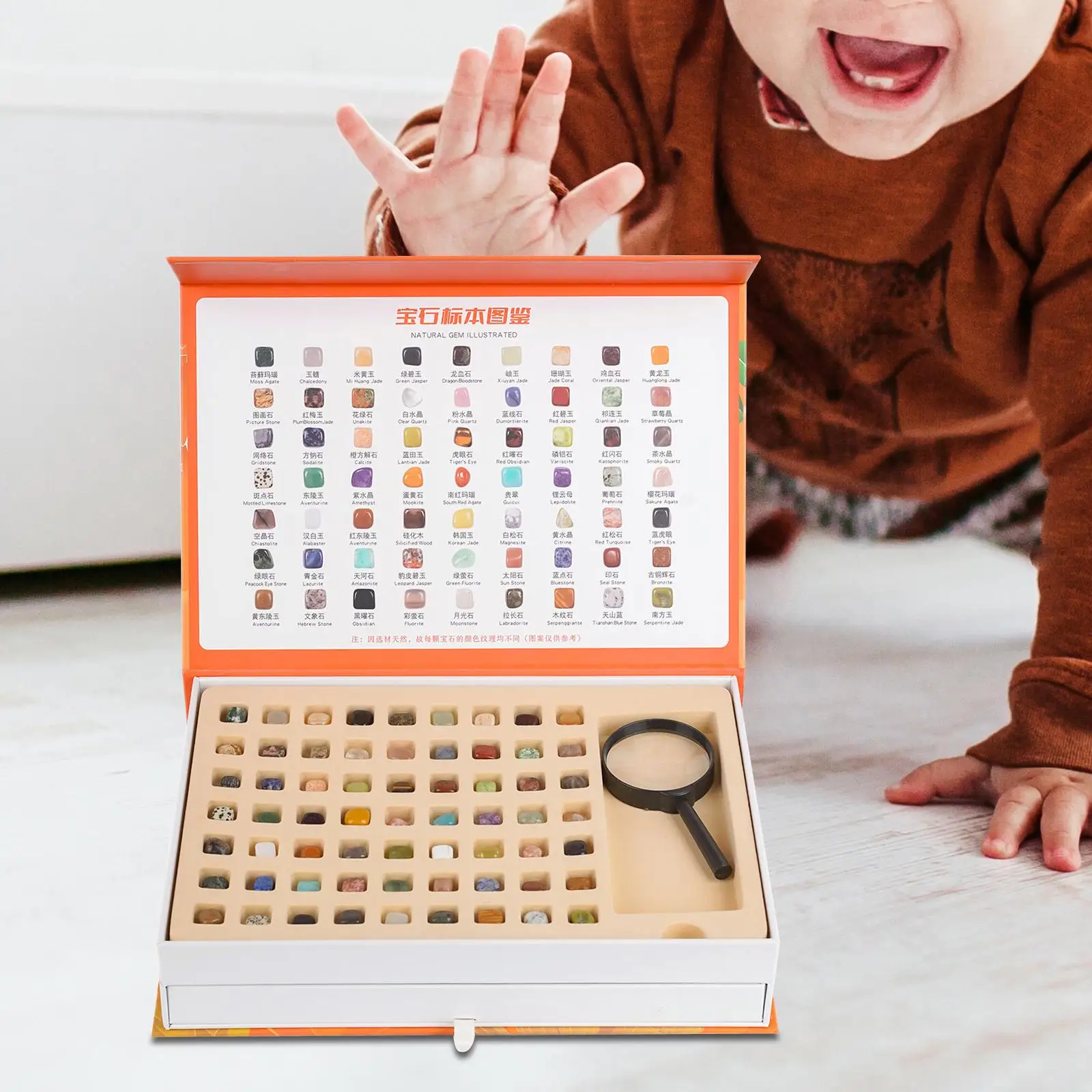 

Rock Collection Collection Box Novelty with magnifying glass, Flashlight, Tweezers Geology Science Stem Toys for Collection