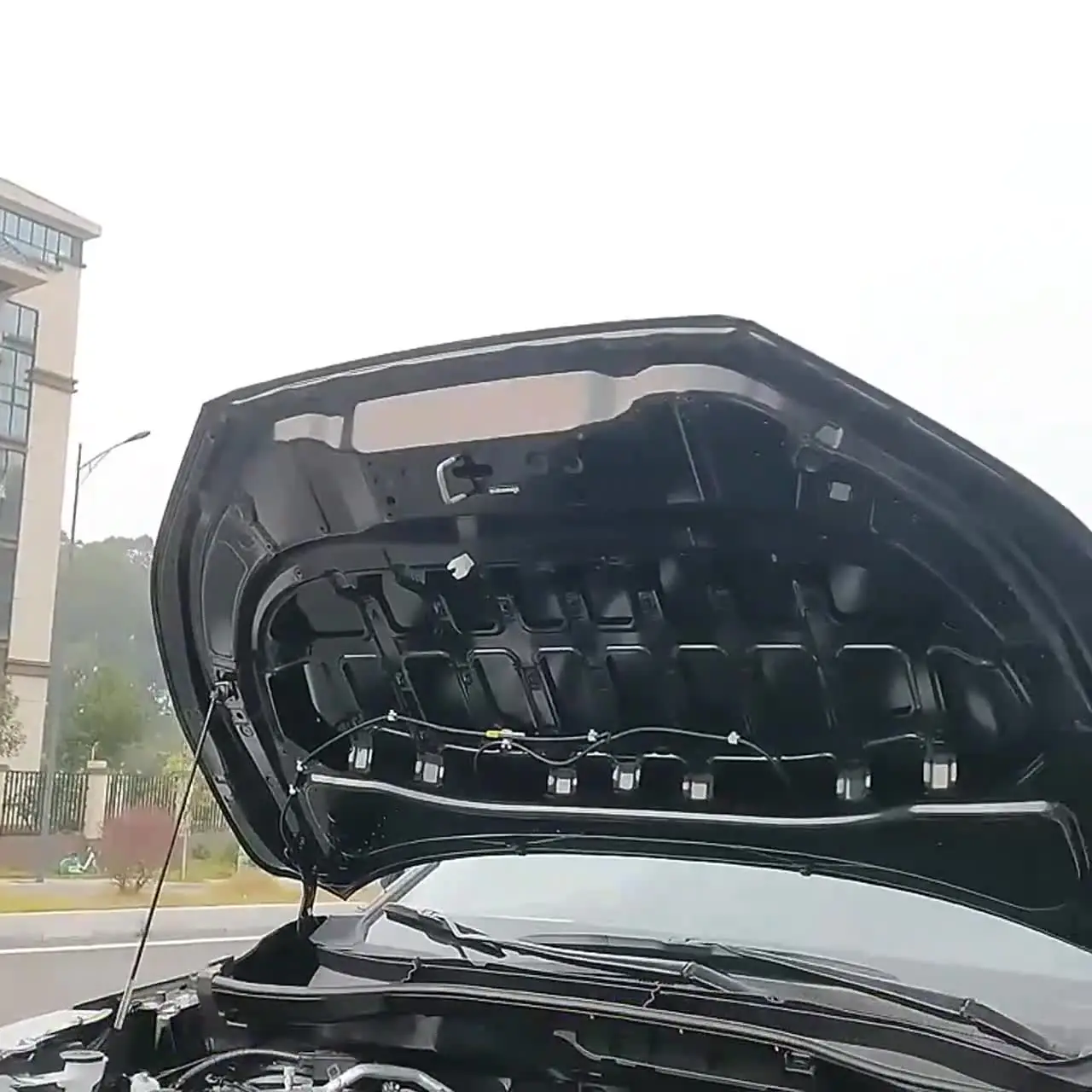 Clynex Motorhauben-Dämmung Für VW CC 2008-2018 - Schall & Wärme Schutz