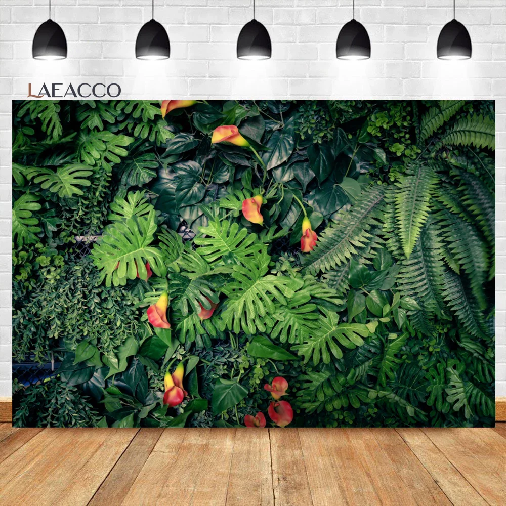 Laeacco    Ĺ,   ,  ,   
