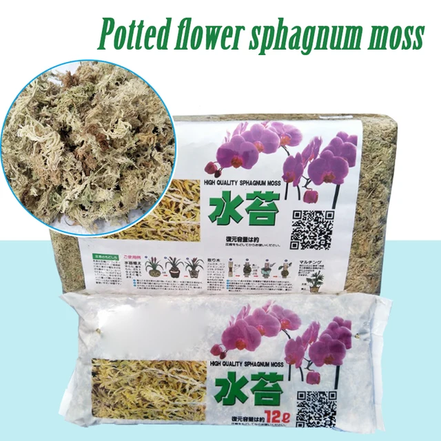 12 L Sphagnum Moha Mohát Hidratáló Táplálkozás Bio Műtrágya Védelme Orchidea Zamatos Növényi Gyökerek Diy Virág Edény Otthoni Kert