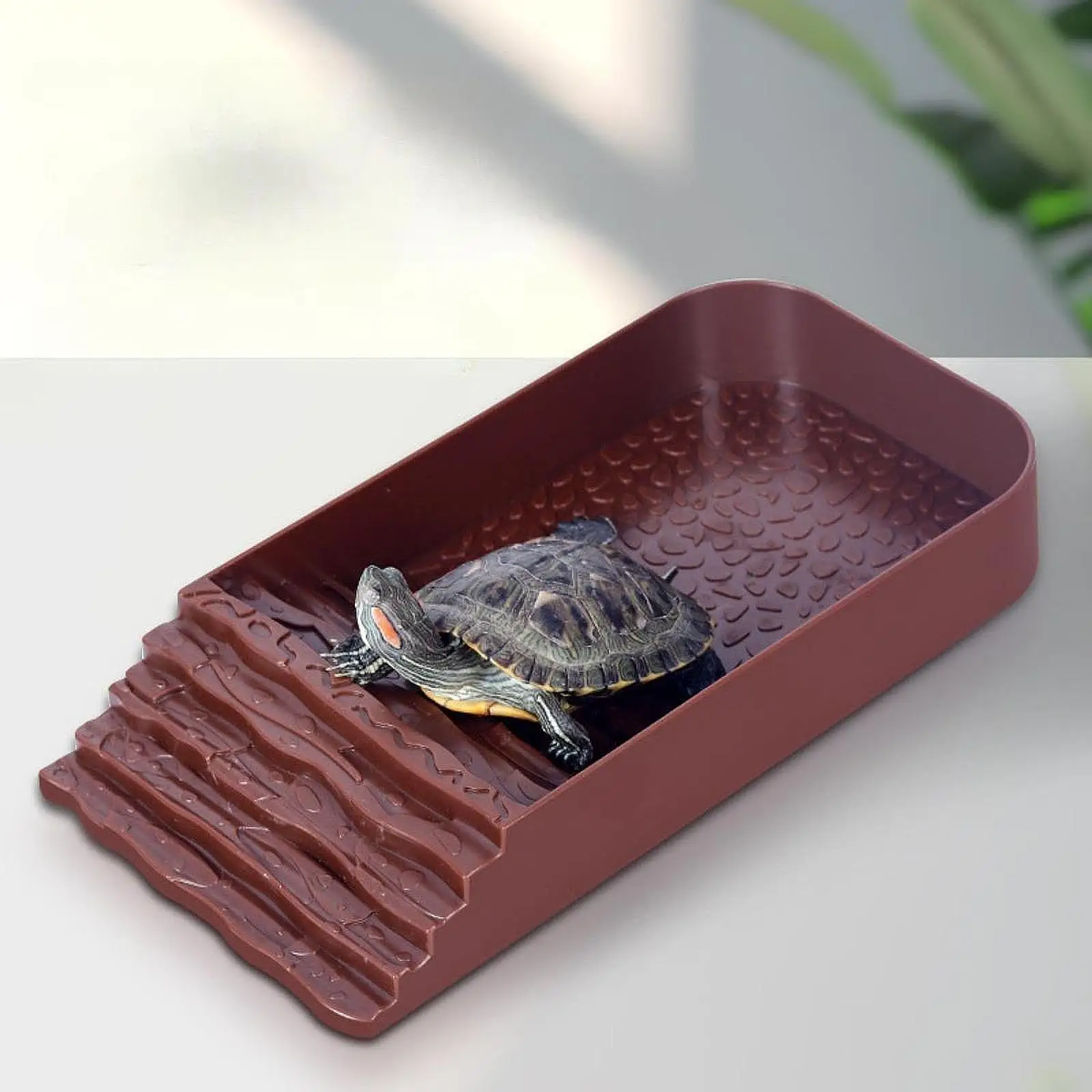 Reptile Water Bowl Accessories Reptile Pool for Tortoise Chameleon Scorpion