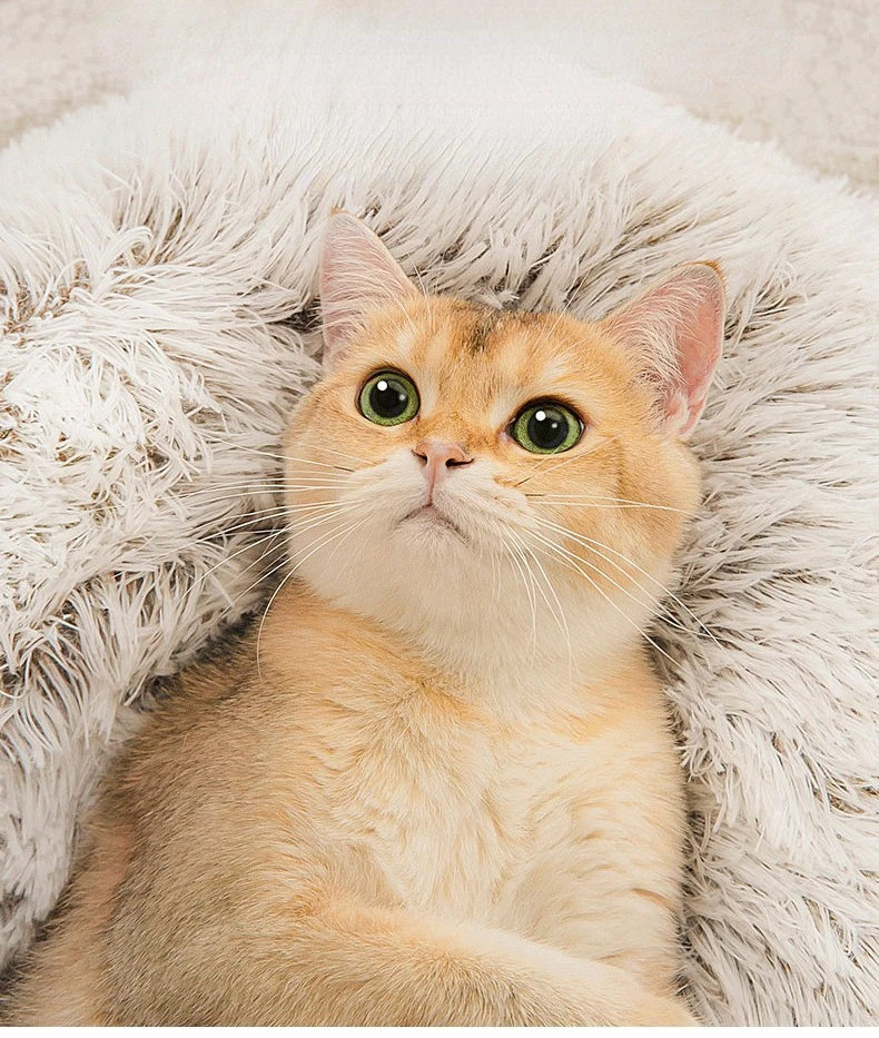 Title 5, Winter Long Plush Pet Cat Bed Round Cats Cushio...